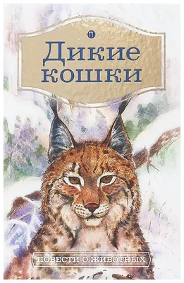 Дикие кошки: Европейская дикая лесная кошка (Felis silvestris)