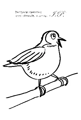 Раскраски для взрослых. маленькие дикие птицы с рисунком на теле птицы  сидят на ветке | Премиум векторы