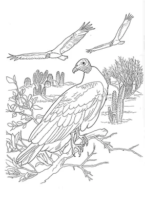 Иллюстрация 29 из 30 для Моя первая раскраска. Домашние и дикие животные |  Лабиринт - книги. Источник: