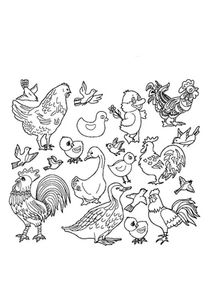 Раскраска Кормушка для птиц Часть 1 — Мир раскрасок