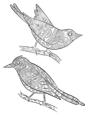 Раскраска птицы зимующие и перелетные - 76 фото