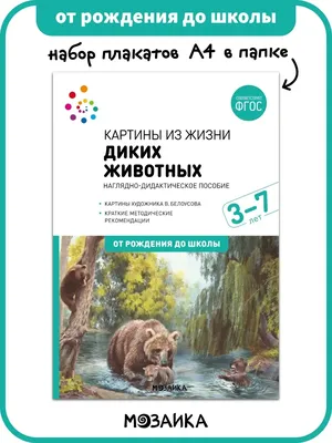 Раскраска дикие животные для детей бесплатно распечатать | Раскраски, Дикие  животные, Дикие