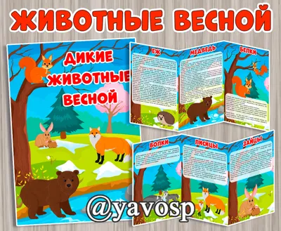 Дидактическое пособие для детей 3–7 лет "Согласование существительных с  числительными. Дикие животные", Хомякова Е.Е. - купить в интернет-магазине  Игросити