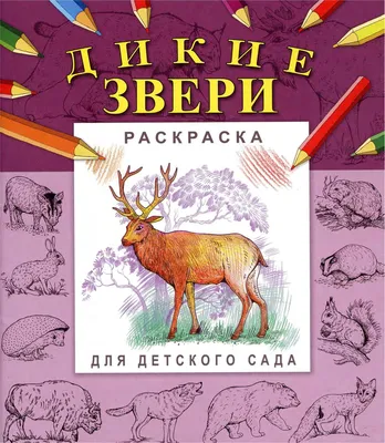 Конспект занятия по лепке для старшей группы на тему «Дикие животные» (8  фото). Воспитателям детских садов, школьным учителям и педагогам - Маам.ру