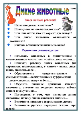 Карточки двухсторонние "Дикие животные", Ракета, размер карточки 11х11 см.,  арт. Р-2132 - купить в интернет-магазине Игросити