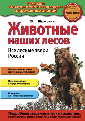 ЛогопедДОУ: Тематический цикл "Дикие животные наших лесов"