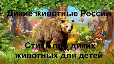 Звери урбанизируются»: эксперт объяснил, почему дикие животные облюбовали  улицы Москвы - «Экология России»