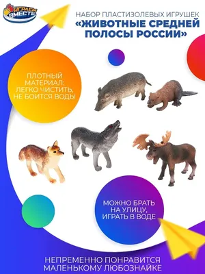 Купить Плакат. Животные России-2. Красная книга в Минске в Беларуси |  Стоимость: за  руб.