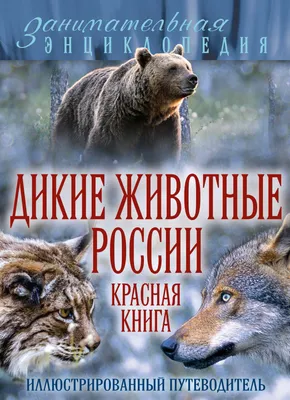 Calaméo - Редкие животные из красной книги России и всего мира