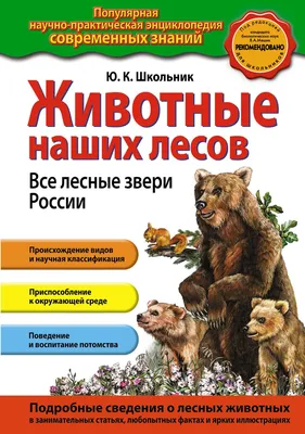 Дикие животные России. Детский пазл на подложке(36х28 см, 63 эл.) купить по  цене 405 ₽ в интернет-магазине KazanExpress