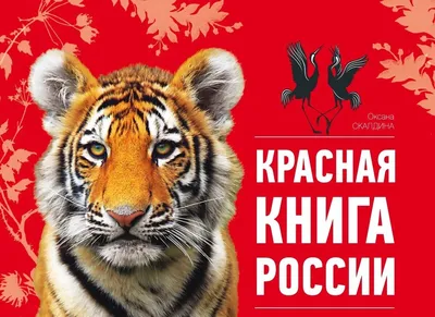 Характеристики Животные России. Плакат, подробное описание товара.  Интернет-магазин OZON
