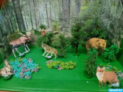 Лесной сосед. Как обезопасить себя от диких животных – Москва 24, 