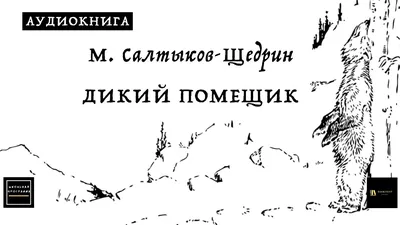 Барин и мужик у Салтыкова-Щедрина лекция смотреть, слушать и читать онлайн.  Курс Русский канон в эпоху реализма. Михаил Свердлов - Магистерия