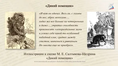 Дикий помещик.Тернистый путь Николая Маркова - из черносотенцев в фашисты.  | Хроники Умершей Империи | Дзен