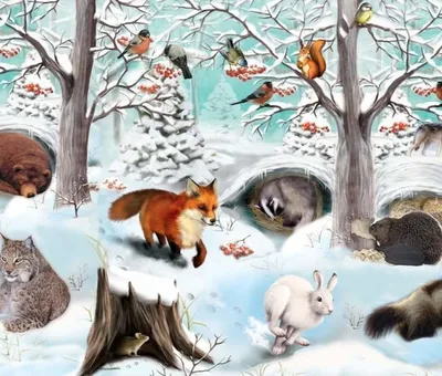 Диких животных зимой картинки