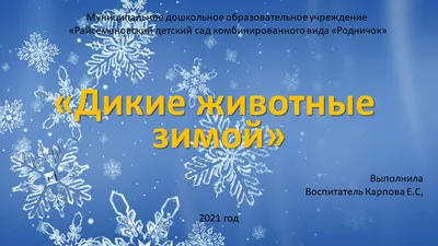 Как выживают дикие животные зимой – чем питаются в лютые морозы дикие звери  – жизнь диких животных зимой