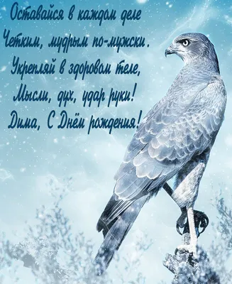 Блог четвероклассников: С днём рождения!