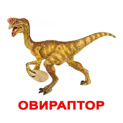 Большой атлас динозавров в картинках — купить книги на русском языке в  Швеции на 