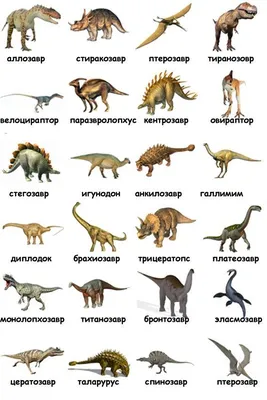 Картинки виды динозавров с названиями (28 фото) • Прикольные картинки и  юмор | Динозавры, Динозавр, Игры динозавров