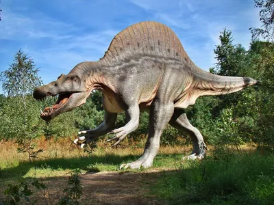 Дракорекс, торозавры и другие. Отдельные виды или возрастная изменчивость?  | Пикабу