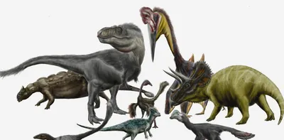 Динозавры онлайн dinosaurs, бесплатно динозавры хищные, фото динозавры  юрского периода, доисторические динозавры в картинках, самый большой  динозавр, виды динозавров энциклопедия, скелет динозавра, названия  динозавров эпоха, ихтиозавры, плезиозавры ...