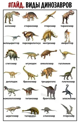 Ученые: у динозавров было достаточно нейронов, чтобы иметь культуру и  пользоваться инструментами