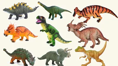 Timeline of Dinosaurs Poster Art Print, Dinosaur Home Decor | eBay