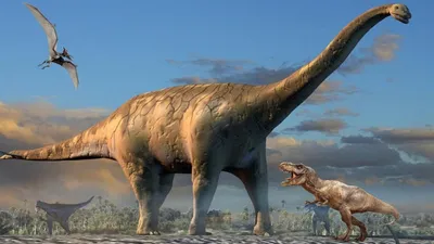 Динозавры: виды, места обитания, описания и картинки