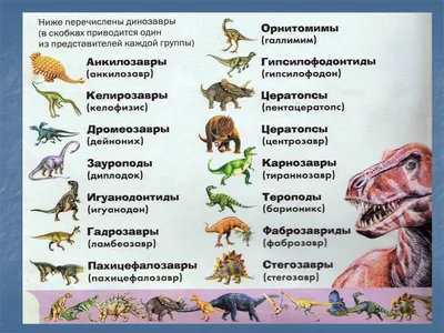 Тест: сможете ли Вы отличить травоядных динозавров от хищников. Всего 10  вопросов | Мегалодон | Дзен
