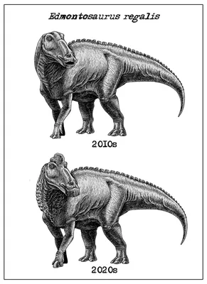 Открытие новых видов динозавров и их эволюционная история | Красный  Альманах | Дзен