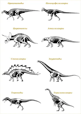 Динозавры картинки