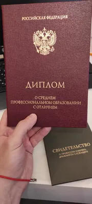 Диплом: истории из жизни, советы, новости, юмор и картинки — Горячее |  Пикабу