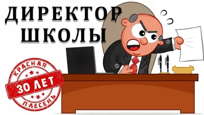 Директор школы, суть работы, обязанности, аттестация