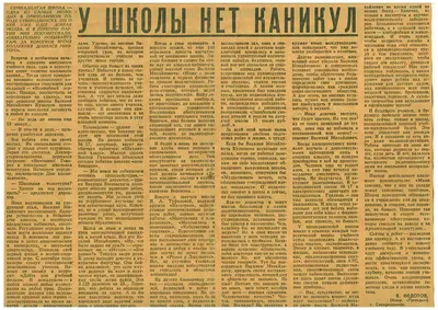 За что могут уволить директора школы. Право и бесправие — «Управление  школой»