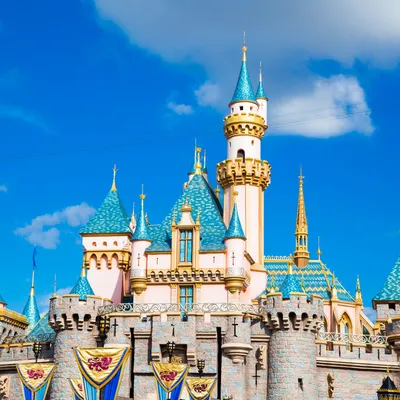 Hong Kong Disneyland: the ultimate guide to making magical memories | Hong  Kong Tourism Board