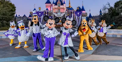 Going to Disneyland? Here's our great big guide to the Happiest Place on  Earth - Los Angeles Times