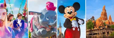 30 Virtual Disneyland Rides - Online Disneyland Experience