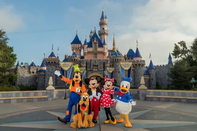 25 Disneyland Rides That You Need to Go On, Ranked