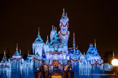 Disney World vs. Disneyland: Which Theme Park? - NerdWallet