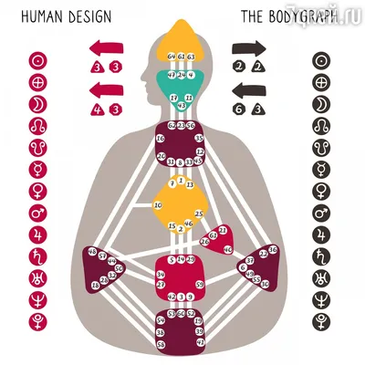 Дизайн человека: как осознать свои сильные стороны и изменить жизнь к  лучшему - 7Дней.ру