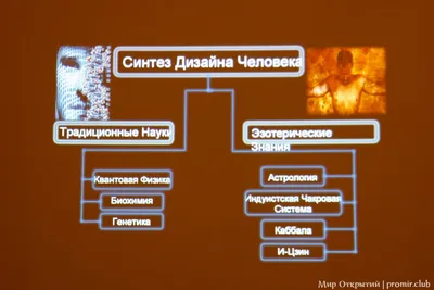 Знаете ли вы? Дизайн Человека и Животного | Валенсия Федорова | Дзен