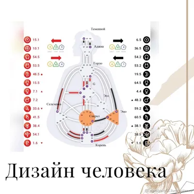 Отзывы о книге «Дизайн Человека: твоя история любви к себе. Код  уникальности», рецензии на книгу М. Маршенкуловой, рейтинг в библиотеке  Литрес