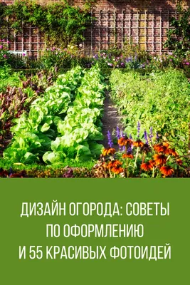 Создание красивого и функционального сада и огорода может стать отличным  способом выделить свой двор. | "Строительство и отделка дома: советы и  рекомендации" | Дзен