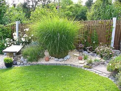 Дизайн сада своими руками - фото | Small garden design, Backyard garden  layout, Backyard garden landscape