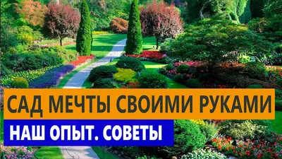 КАК СДЕЛАТЬ ЛАНДШАФТНЫЙ ДИЗАЙН САМОМУ? | Royal Forest |