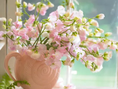 Красивые картинки цветы на аву - 76 фото