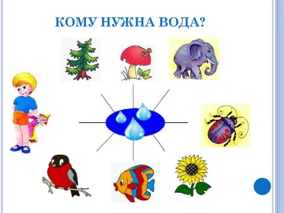 Дидактическая игра «Кому нужна вода?» (1 фото). Воспитателям детских садов,  школьным учителям и педагогам - Маам.ру