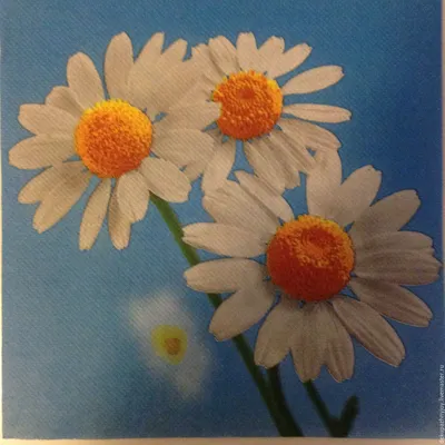 Салфетка для декупажа "Полевые цветы", трехслойная, 33х33 см - ArtКЛАД —  магазин скрап, мыловарения, фурнитуpы.