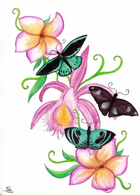 Рисовая бумага для декупажа карта А4 салфетка 0957 бабочки полевые цветы  винтаж крафт DIY Milotto | AliExpress