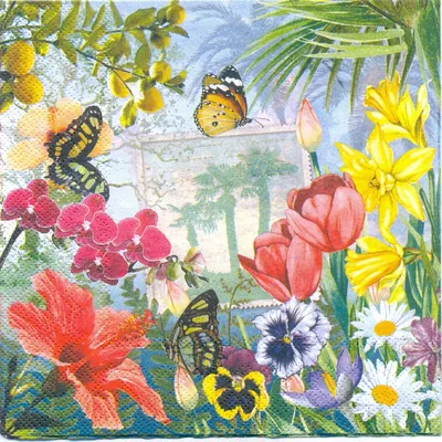 Girl and butterflies. Девушка и бабочки. PNG. в 2023 г | Бабочки, Декупаж,  Графический дизайн